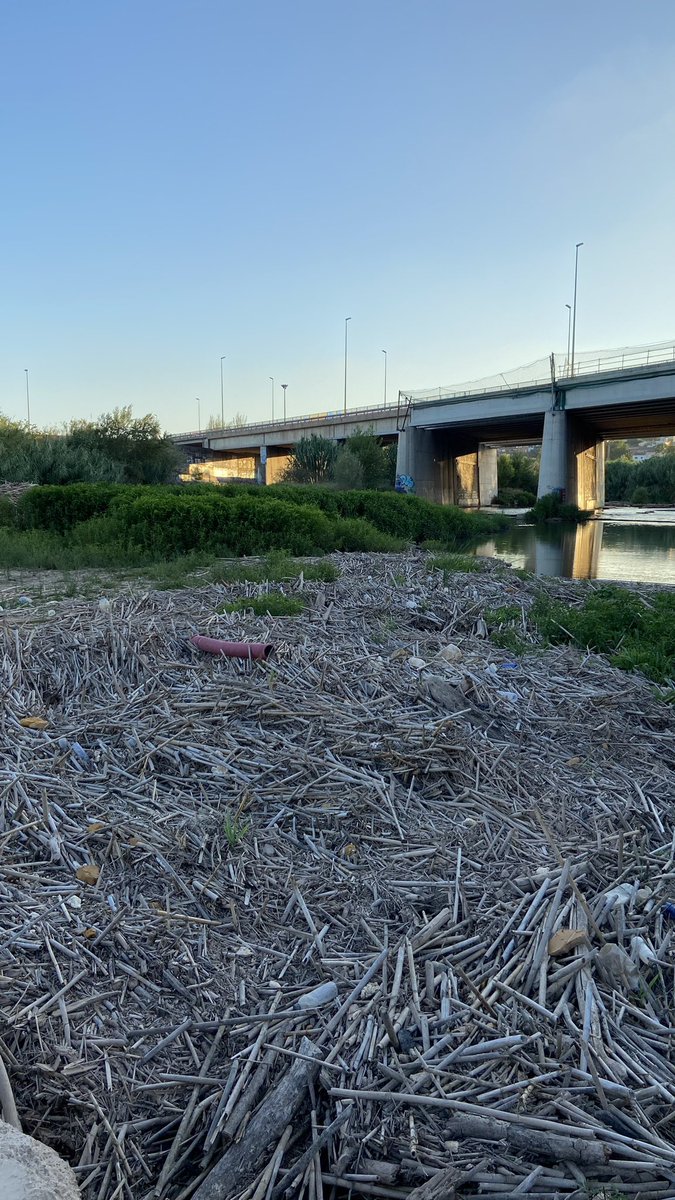 gagol's tweet photo. @aigua_cat tota aquesta brutícia que es troba al Llobregat al gual de Sant Boi arribarà al mar el dia que hi hagi una bona tamborinada, cosa que més tard o més d’hora acabarà passant. Porta així tor l’hovern i s’ha agreujat arrel de les pluges d’inicis d’estiu. Cal fer neteja https://t.co/uKkpmvCfjg