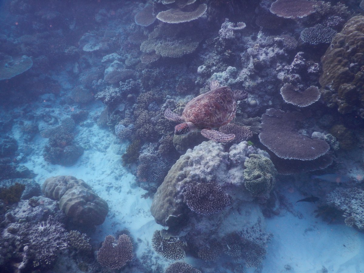 Dr. Kayla C. Hall tweet media