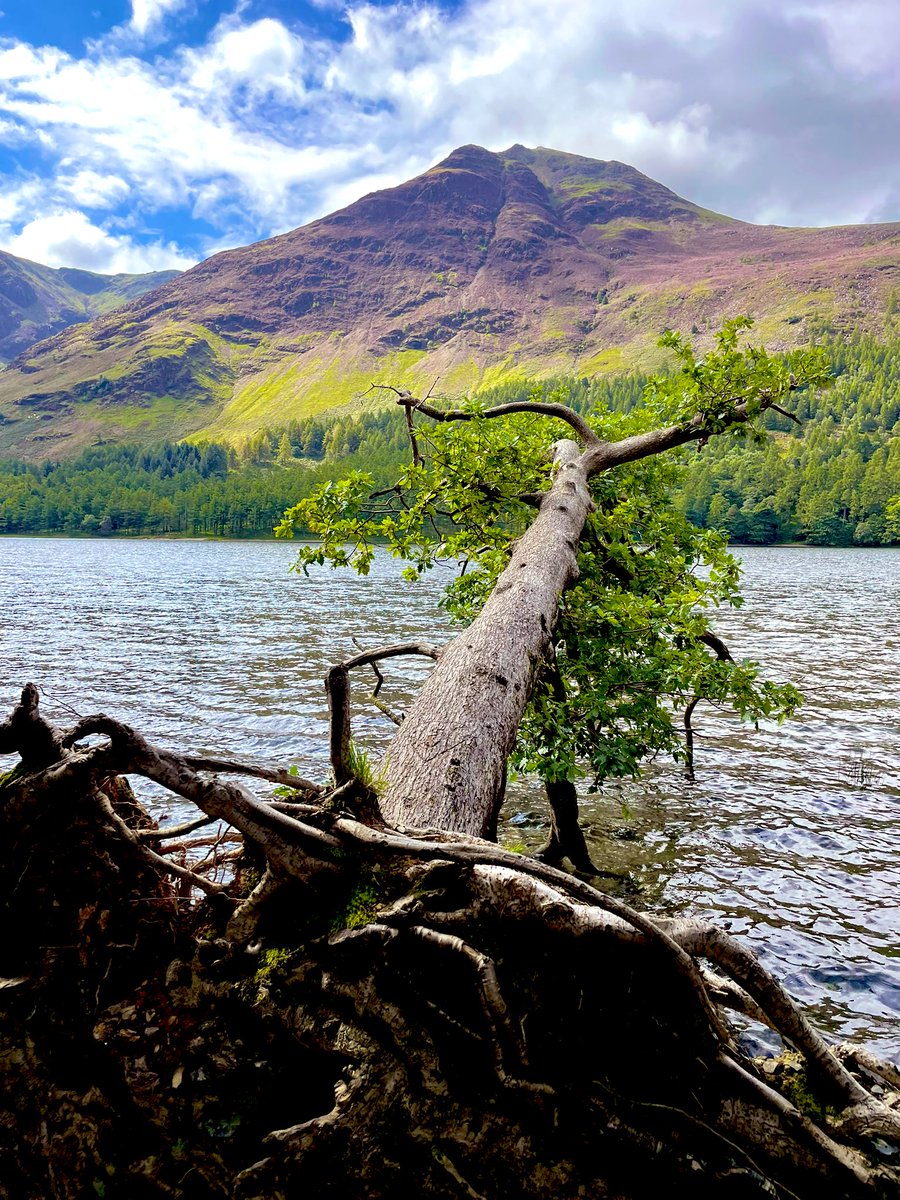 Bizzybeejo's tweet photo. @DeputyGrocott Day 25 was a walk around Buttermere and a wild swim for one of us 🥶#3for30 https://t.co/wCW7EvOLBN