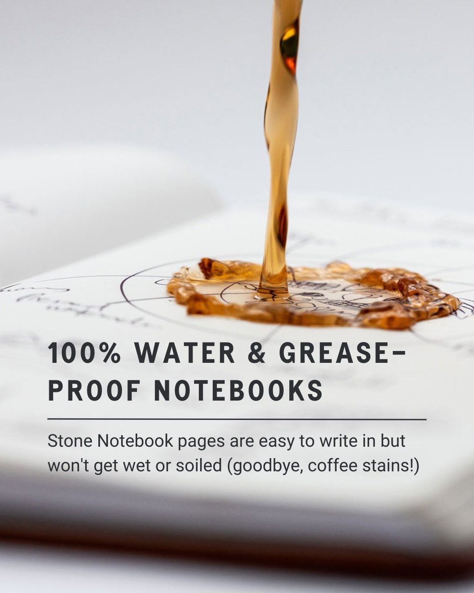 Borough Kitchen tweet media