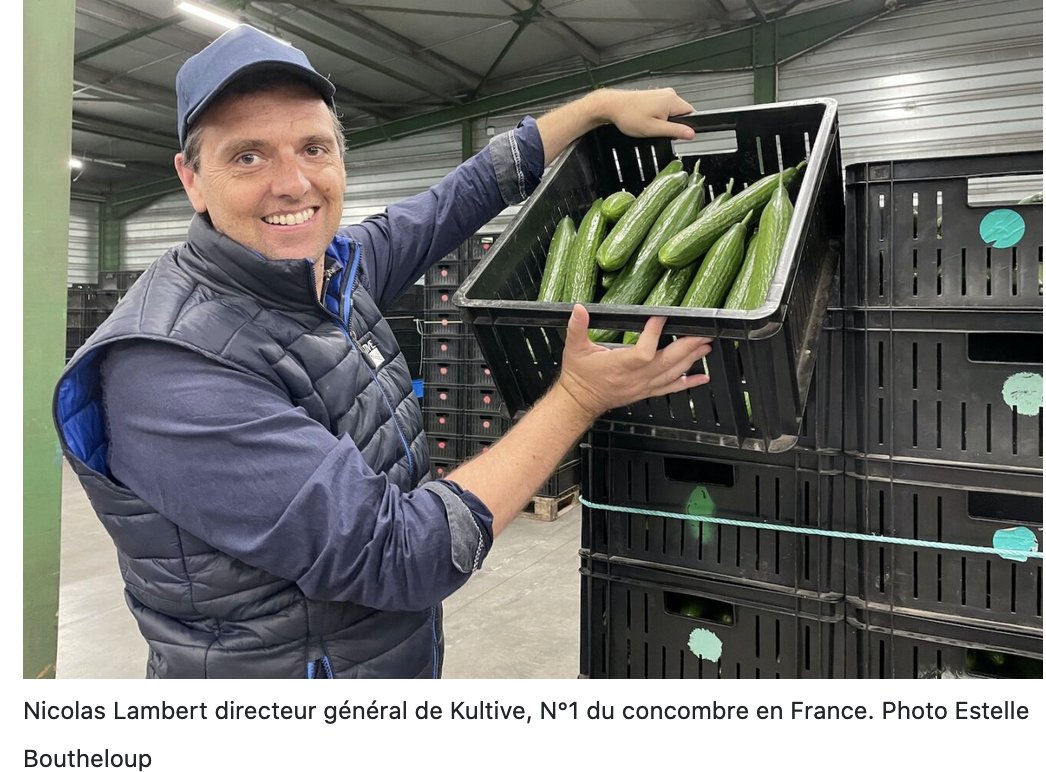 Sandillon (Loiret) : "Kultive est le leader du concombre en France avec 25% de la production totale" par Estelle Boutheloup @estllb <a href="/MagcentreFR/">MagCentre.fr</a> adhérente AJE <a href="/ajeasso/">AJE</a> magcentre.fr/266924-dans-le…