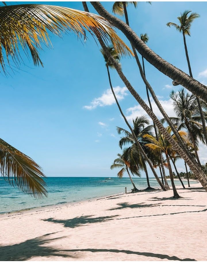 Buenas Tardes 😘

#InnovarParaCrecer
<a href="/NicolasMaduro/">Nicolás Maduro</a> <a href="/Mippcivzla/">mippci</a> <a href="/VTVcanal8/">VTV CANAL 8</a> <a href="/PartidoPSUV/">PSUV</a> <a href="/Neyda21708001/">Neyda</a> <a href="/neydaf1/">neydaf</a> <a href="/Angelma93170915/">Angel manuel Monroy hernandez</a> <a href="/BricenoHilarion/">hilarion briceño</a> <a href="/GregoriaBriceo6/">Hija del Rey de Reyes 🙌🤗💕</a> <a href="/Hachiko_only/">Heyisalike</a> <a href="/HctorPe09570468/">Héctor Perez</a> <a href="/HectorRojas50/">Hector Rojas</a> <a href="/JoseHurtado2312/">Jose Maria Hurtado Ortega</a> <a href="/JoseluisHi86890/">Joseluis Higuera Dorante</a> <a href="/krismarHer95609/">krismar Hernández</a> <a href="/Krisbelihernan1/">Krisbeli hernandez</a>