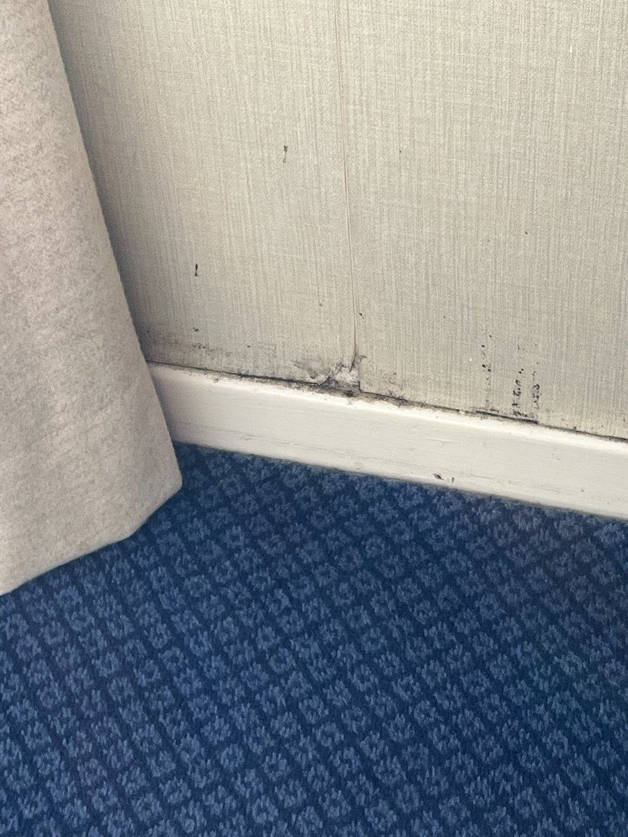 WestHawkLake's tweet photo. Went through @RoyalIrishTours who booked us into @strathmorehotels @bennevishotel Our view and the state of the baseboards are representative of the room.  Be warned: before you pay, check reviews. https://t.co/vHpeADHpqC