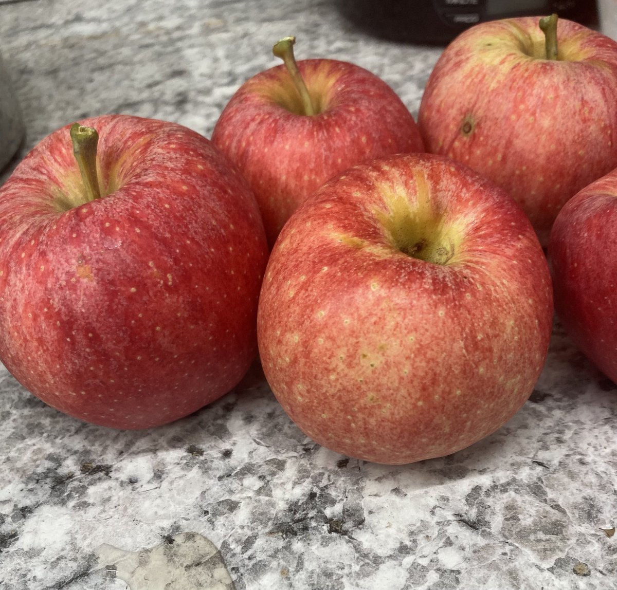 Wolverine Enterprises (@wrventerprises) on Twitter photo AG enterprise is selling Fuji apples!! They are $7 for a 5 pound bag!! Message or email us to order!!
<a href="/WRVwolverines/">White River Valley</a> AG enterprise is selling Fuji apples!! They are $7 for a 5 pound bag!! Message or email us to order!!
<a href="/WRVwolverines/">White River Valley</a>