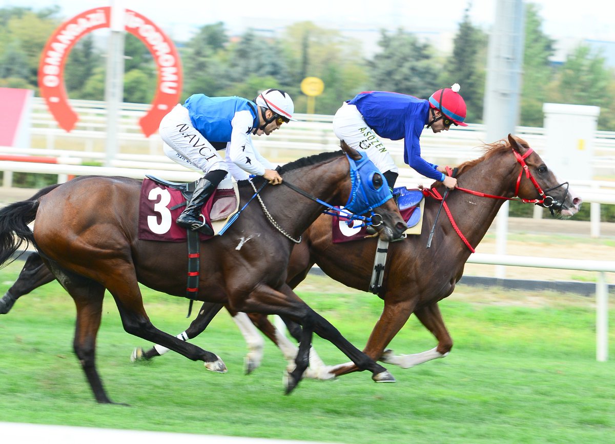 Dün Bursa'da belgabat ismli atınmızın birinciliği bizi mutlu ederken. Colour Of lıght isimli atımızda uzun aradan sonra çıktığı çim pist yarışında 2 ci olurliken bize umut verdi Allah ayaklarınızı düz bastırsın benim güzel evlatlarım ayaklarınıza saglık