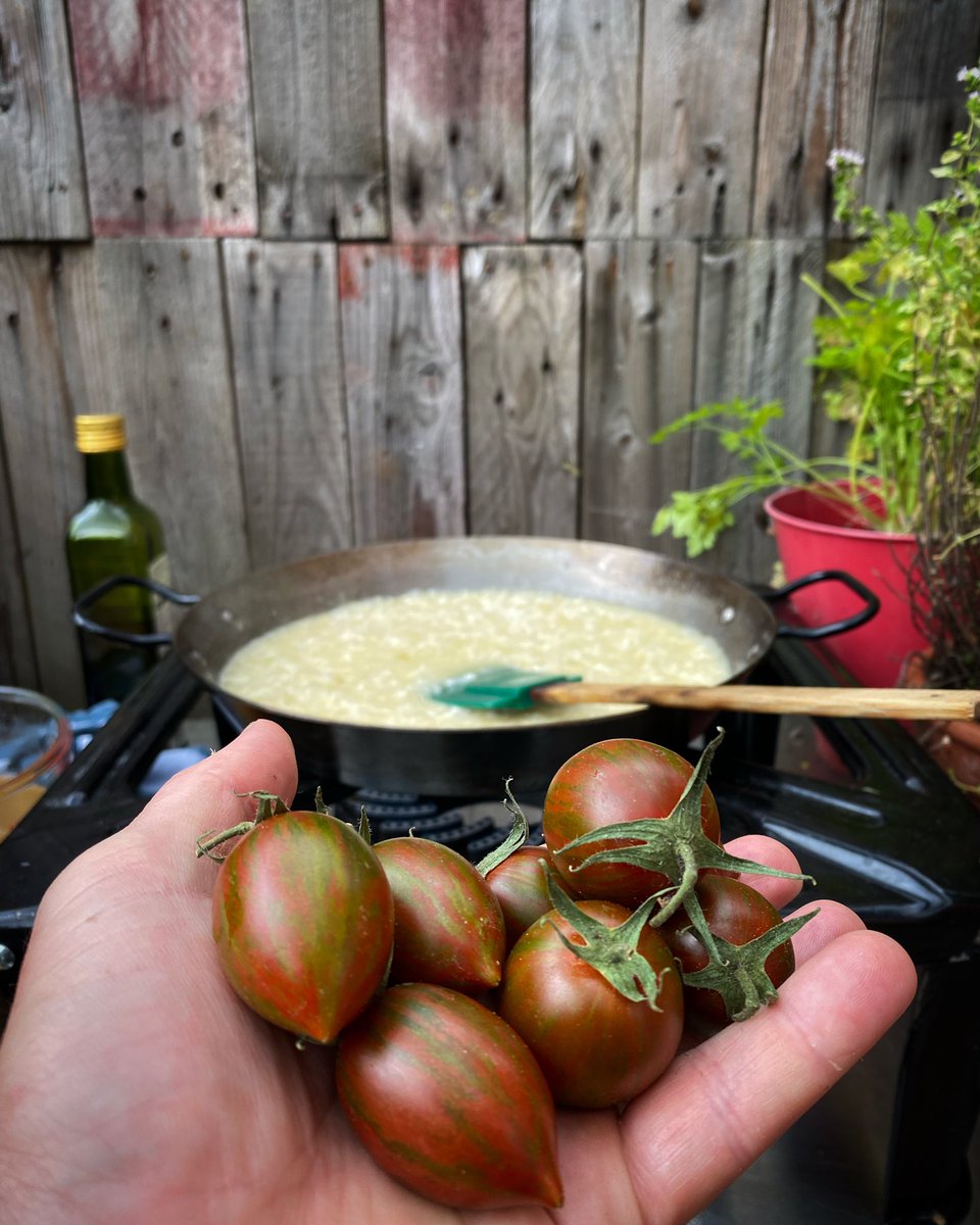 markjamesmunro's tweet photo. Greenhouse tomato and saffron risotto #kitchen29veggarden #thekitchen29woodfiredpizzagarden #kitchen29 https://t.co/PxRdTi9g3h