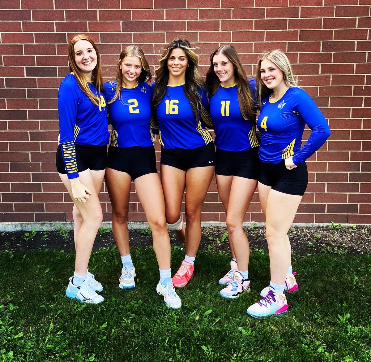 Maroa-Forsyth Volleyball tweet media