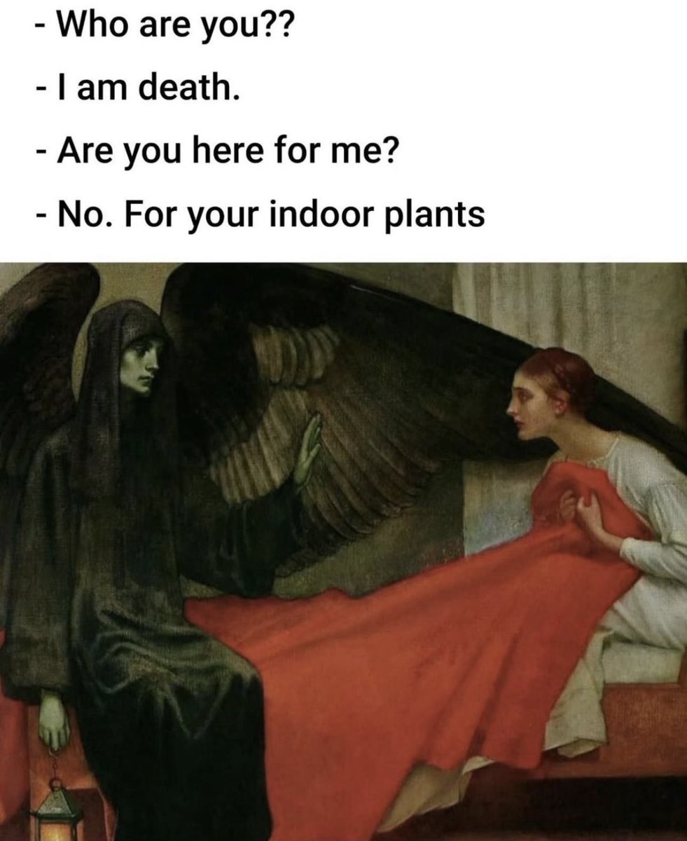 I’m convinced the afterlife is just going to be me face to face with every houseplant I have forgotten to water for months at a time.