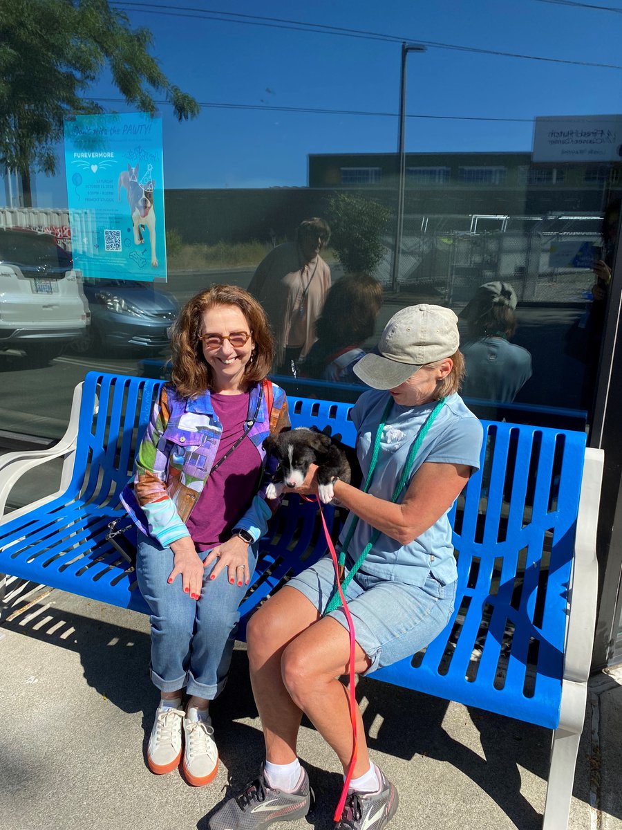 HLAAWaState's tweet image. Seattle&apos;s most hearing-friendly places, plus more in our e-news this month.  #HearingLoss #HearingLoop #Disability #Access #Seattle 

hearingloss-wa.org/hlaa-wa-e-news…