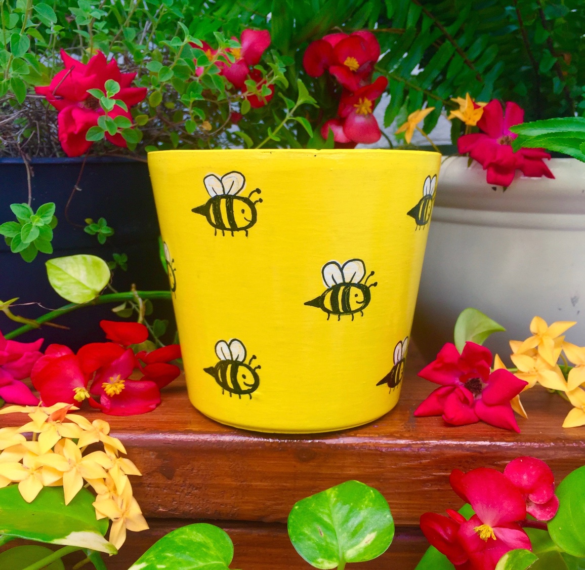 ECreationsKW's tweet photo. CHECK OUT OUR @Etsy SHOP FOR NEW SUMMER DECOR ITEMS! 🌞✨
✨FEATURING: BUSY BEE TERRACOTTA PLANTER POT✨
🍃 https://t.co/LxsXaDO5EB 🍃
#planter #plants #homedecor #handmade #garden #plantsofinstagram #planters #plant #pottery #gardening #flowers #plantsmakepeoplehappy #plantlover https://t.co/Nnd8wAYs2t