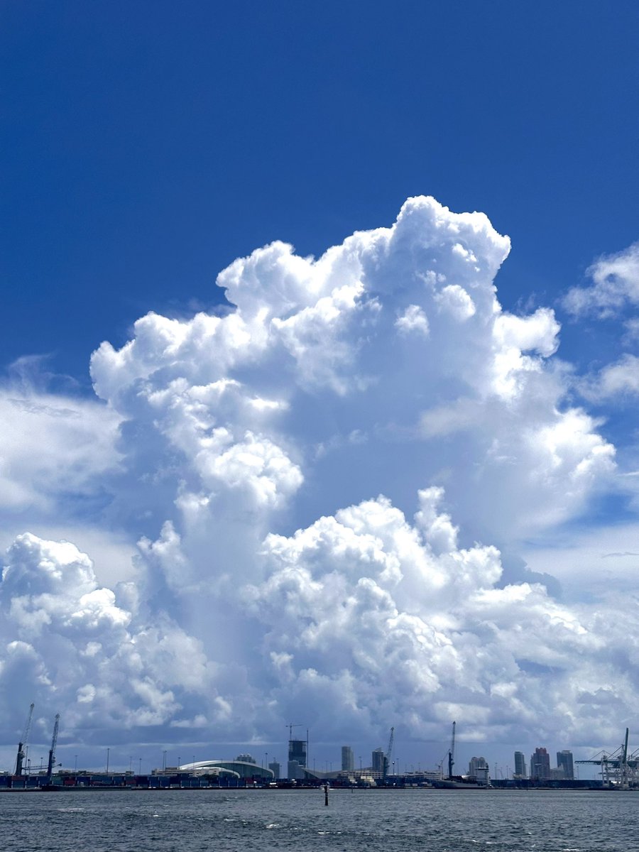 thisisjavierc's tweet image. La luz de agosto 🌞 #Miami #BrickellKey