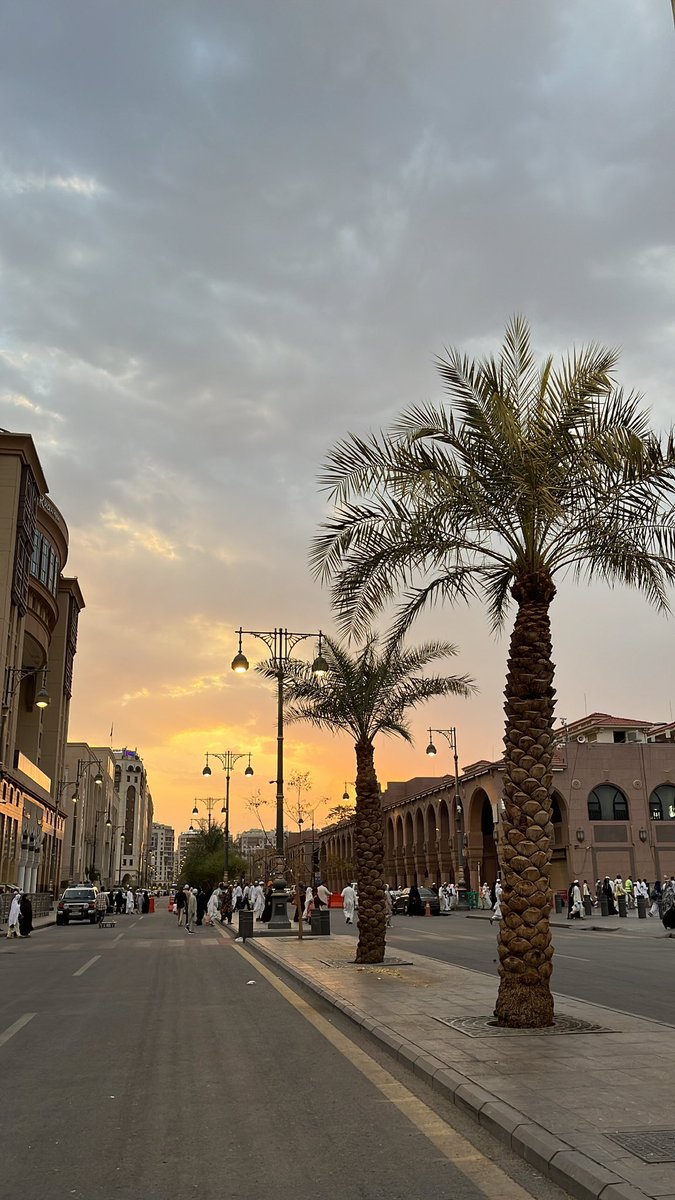 Adeeb🇵🇸 tweet media