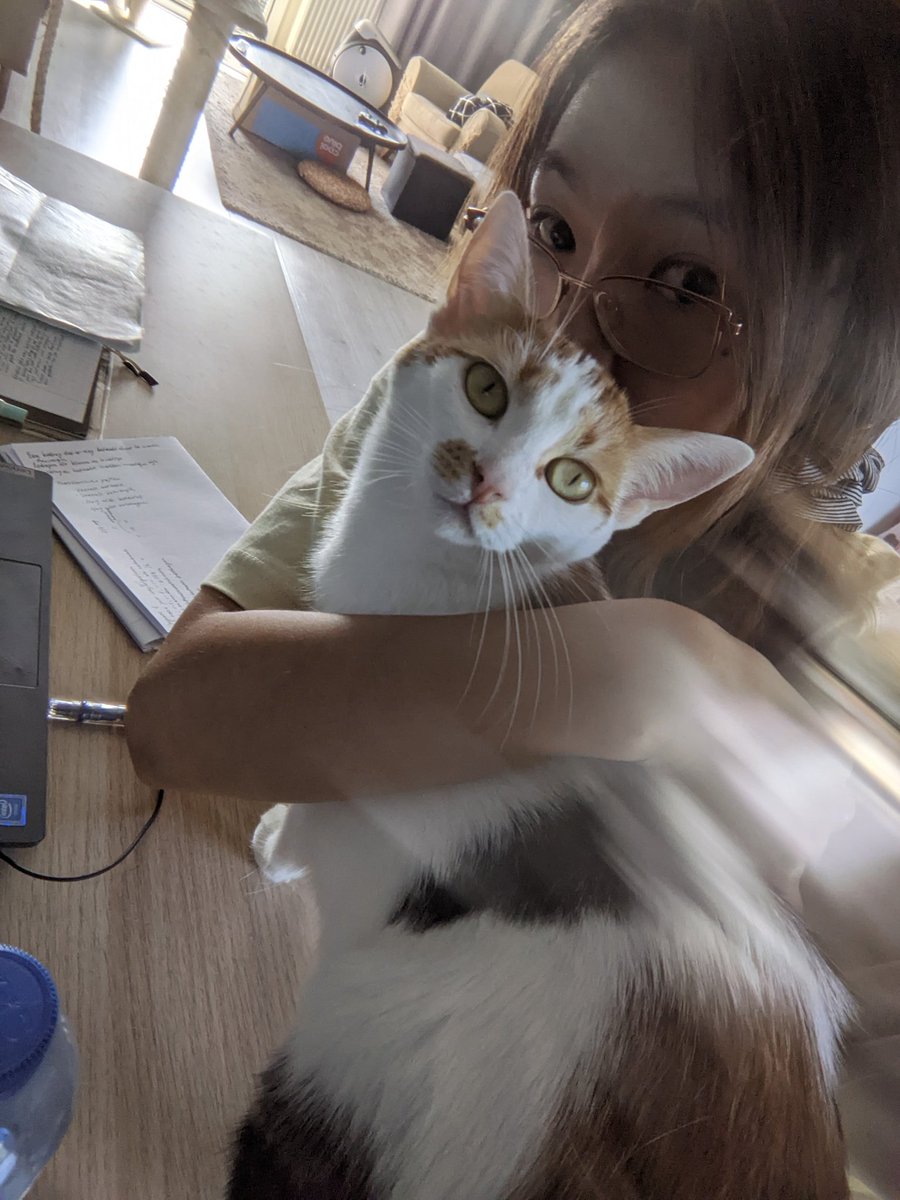 cosmoo🐨@that cat aint right tweet media