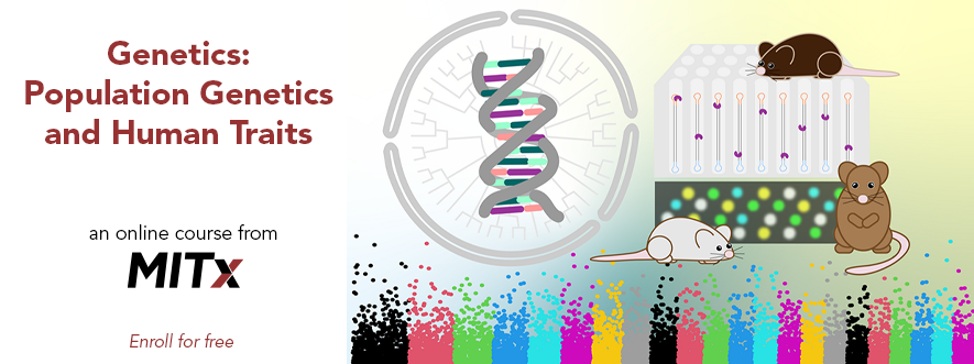 MITx Courses (@mitxcourses) on Twitter photo How do we determine the content of genomes? Discover this and more in "Genetics: Population Genetics and Human Traits" - NEW from <a href="/MITxBio/">MITx biology</a>. Open now, self-paced.
Learn more and enroll at bit.ly/45nzwgU How do we determine the content of genomes? Discover this and more in "Genetics: Population Genetics and Human Traits" - NEW from <a href="/MITxBio/">MITx biology</a>. Open now, self-paced.
Learn more and enroll at bit.ly/45nzwgU