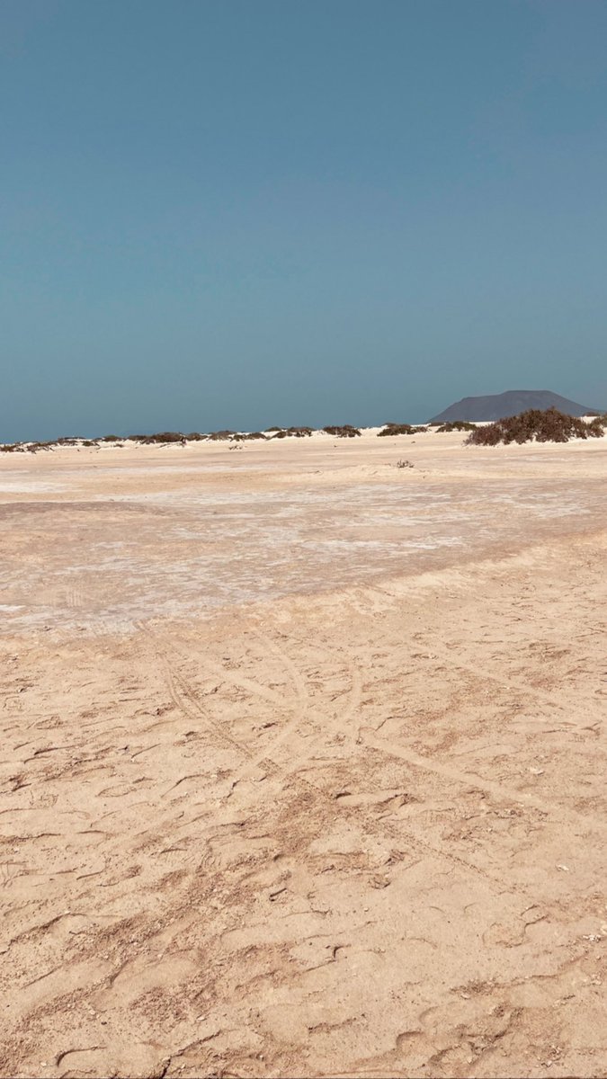 Jaimeeehdez's tweet photo. 🏜️

📍Fuerteventura - Corralejo https://t.co/nKXA1hFPLb