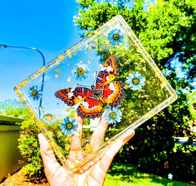 Golden Malay Lacewing Daisy Rolling Tray✨