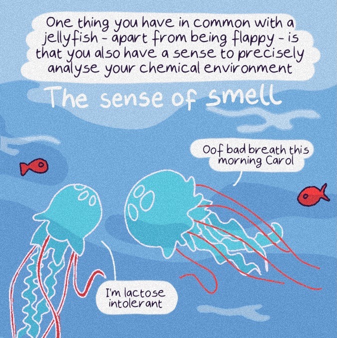Artichautte's tweet photo. New comic strip about the sense of smell 🪄
#Scicomm #SciArt #SciArtPortfolioWeek https://t.co/PvA637f92J