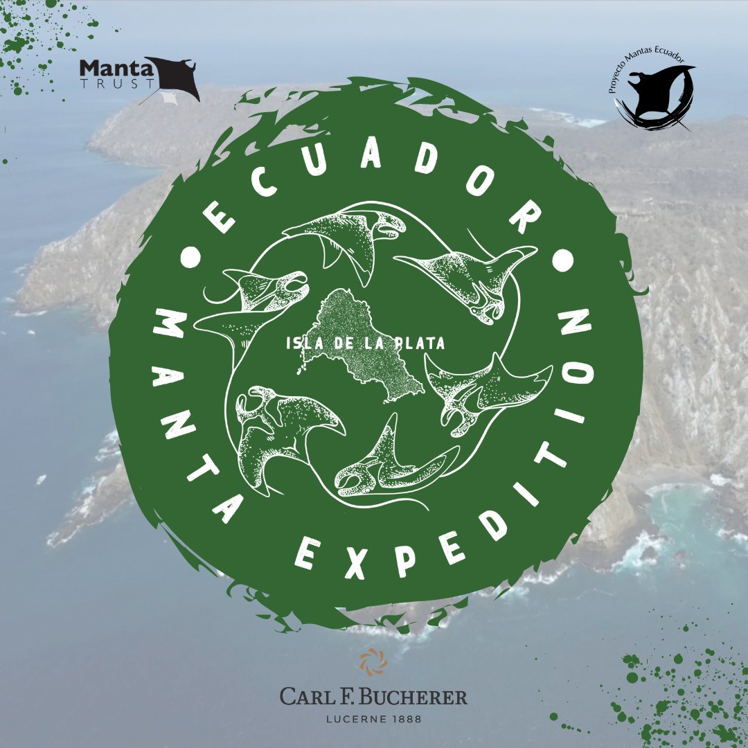 MantaTrust's tweet photo. ✨ Exciting news! ✨

We are thrilled to announce our upcoming research expedition in Ecuador, supported by our long-term sponsor @carl_f_bucherer, in collaboration with Proyecto Mantas Ecuador! 🐠🔬

🗓️ Date: 19th August – 2nd September 
📍Destination: Isla de La Plata, Ecuador https://t.co/UW1Owu6Q1B