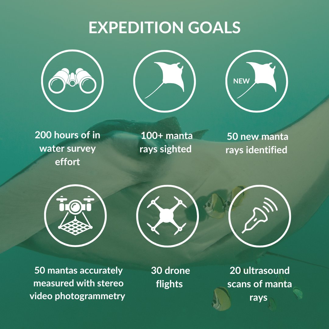 MantaTrust's tweet photo. ✨ Exciting news! ✨

We are thrilled to announce our upcoming research expedition in Ecuador, supported by our long-term sponsor @carl_f_bucherer, in collaboration with Proyecto Mantas Ecuador! 🐠🔬

🗓️ Date: 19th August – 2nd September 
📍Destination: Isla de La Plata, Ecuador https://t.co/UW1Owu6Q1B