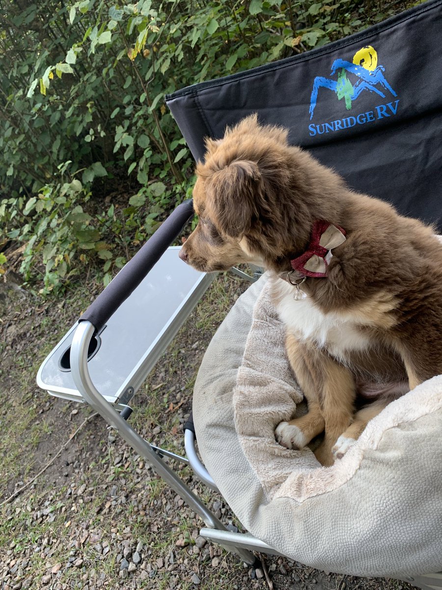 Morning coffee buddy