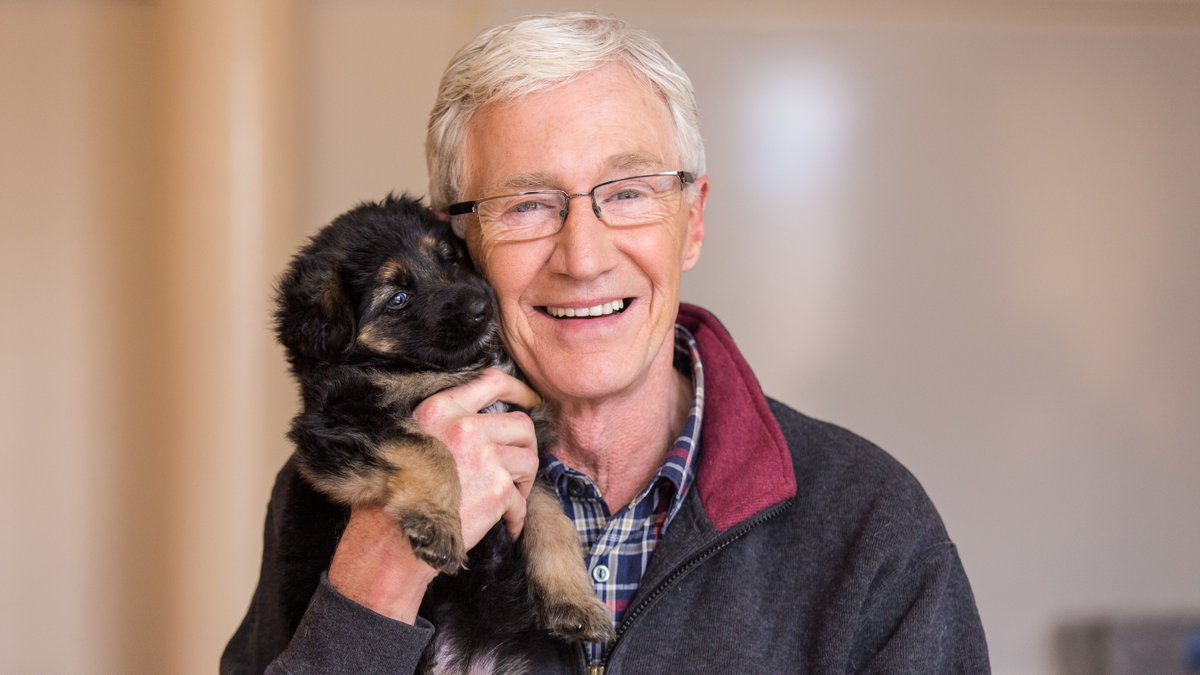 Battersea_'s tweet photo. We're honoured to have @RealPOGDogs shortlisted in the 'Factual' category at this years @OfficialNTAs! We will forever be proud of this show and grateful for all the work our loved and missed Ambassador, Paul O'Grady, has done for Battersea 💙 Vote here 👉 https://t.co/VdjyMa7yGi https://t.co/UjMSZVd9lu