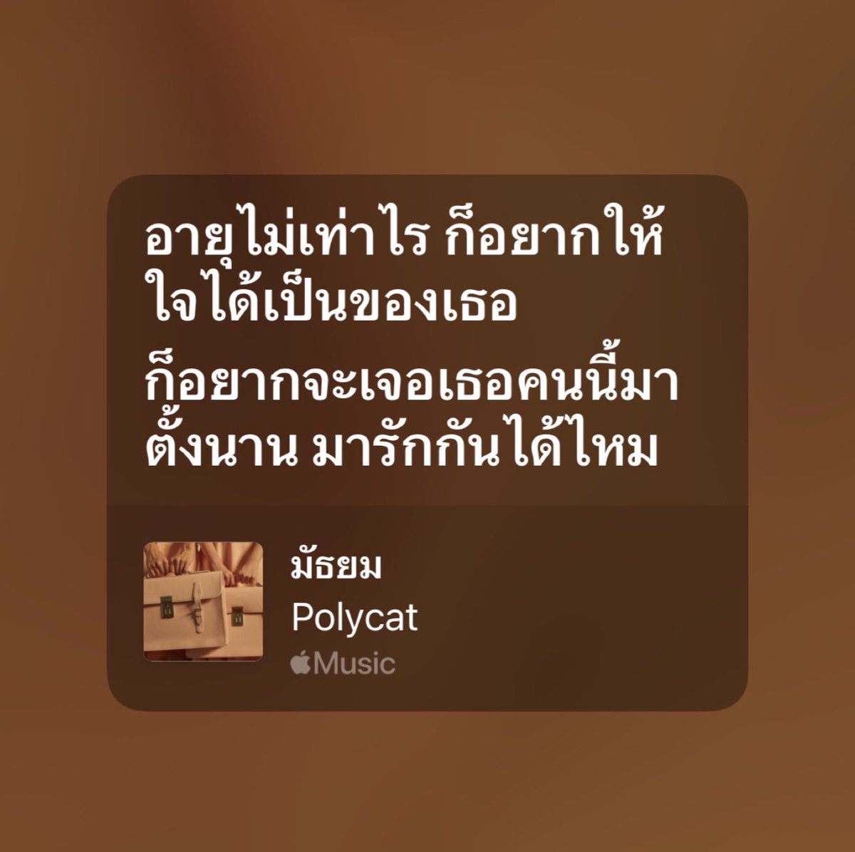 ป้อกกาแลต tweet media