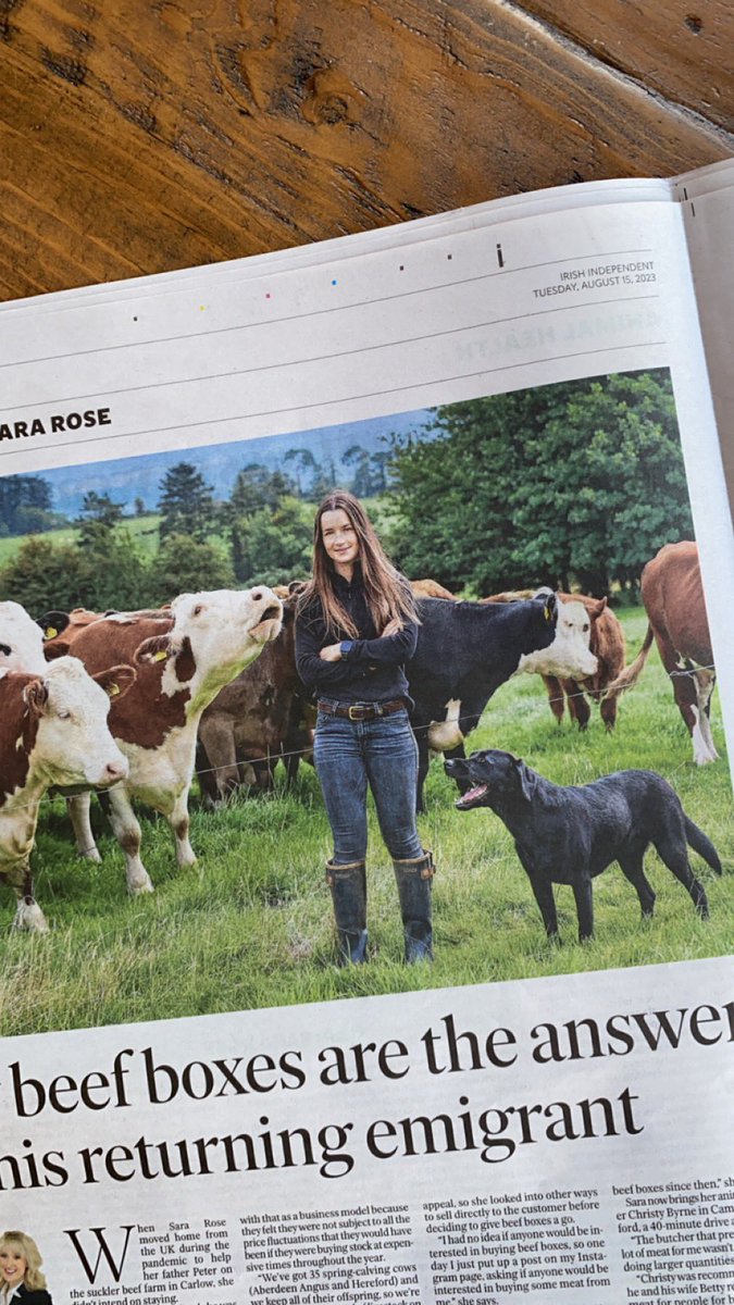 Kilsunny_Herd's tweet image. Well done to Sara Rose and Corrigeen Farm 👏 

Think we spied stock bull, Kilsunny Romeo (sold to Corrigeen in 2021) in one of the photos overleaf too! 📸 

#farmingindo #womeninag #beefboxes