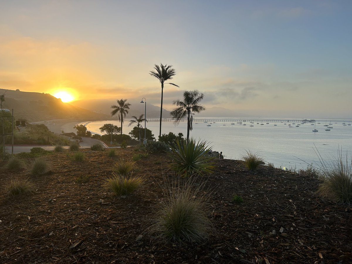 MarieFridberg's tweet photo. What a great summer it has been😀☀️

Postcard from US. Californian Sunrise - enjoying family vaccination 🌴🏖️

Now ready to go back - focus on my 
#research- and finish my #PhD thesis #InterdisciplinaryOrthopaedics https://t.co/x54kqccu7s