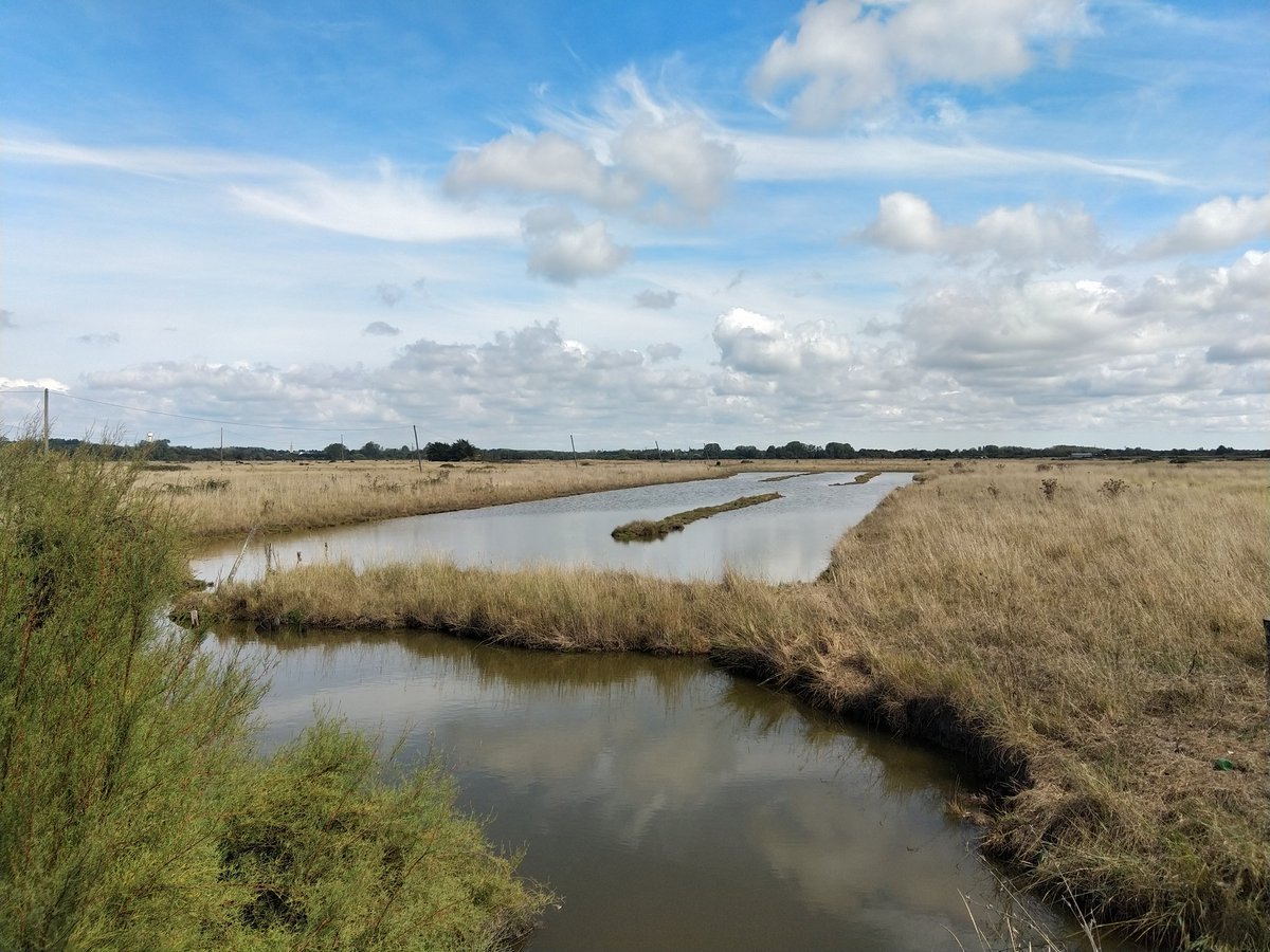 #Marais vendéen cet après midi.
#balade #nature