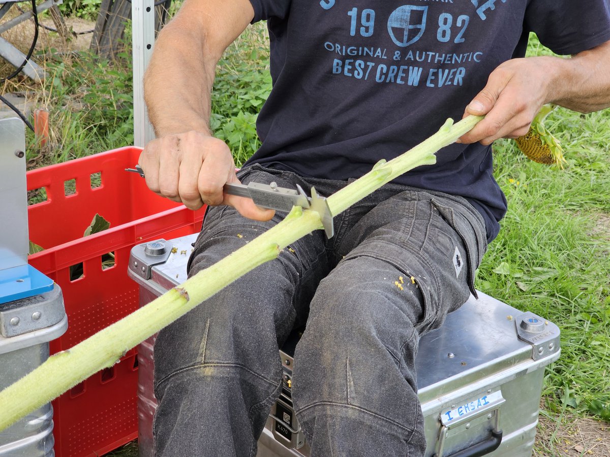 ICOS Germany tweet media