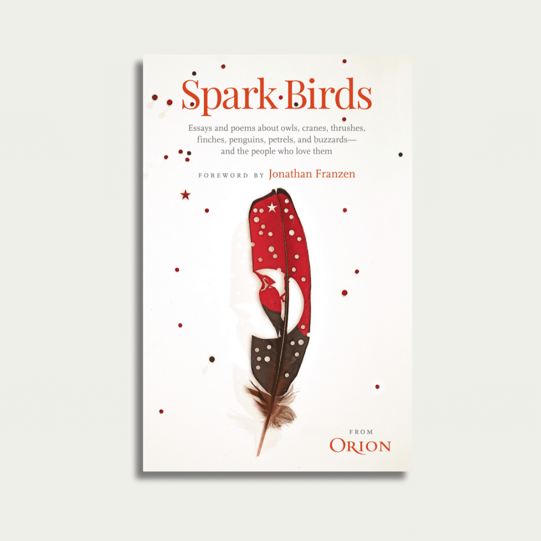 Today's the day! 'Spark Birds', Orion's latest anthology, is officially on sale. Order here and read some of Orion's best stories, essays, and poems all about birds from the writers who love them.
orionmagazine.org/product/sparkb…