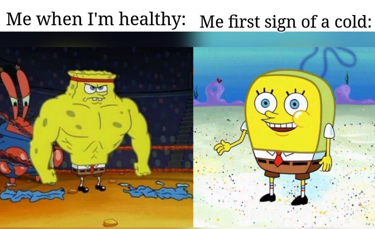 Gm everyone ☀️

Be healthy ❤️