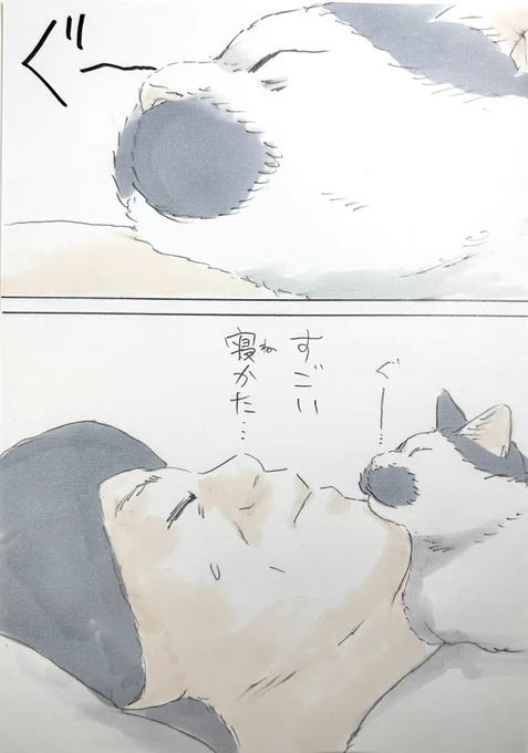 まいにちノリ吉 