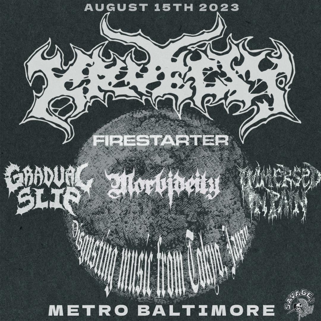 gradual slip tweet media