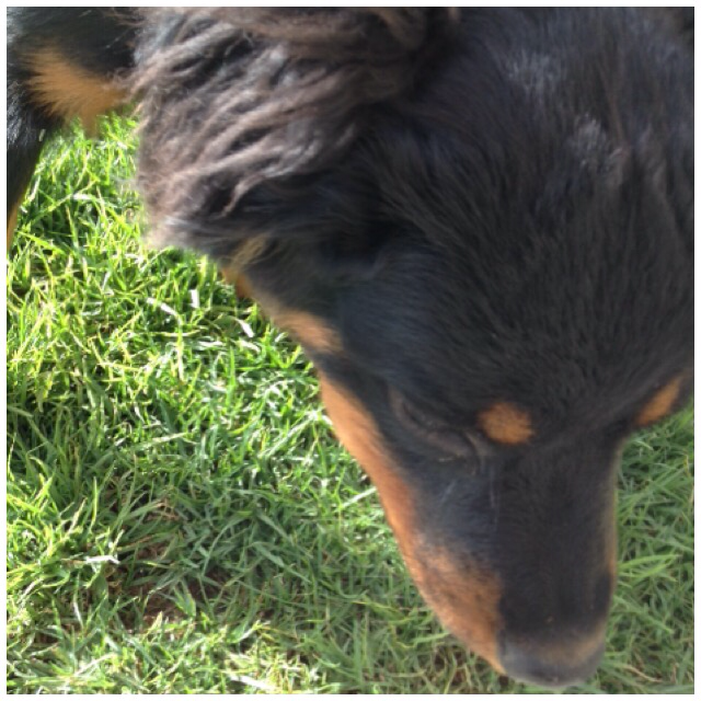claurora21's tweet photo. Acabo de correr 6.06 km con Nike+. #nikeplus https://t.co/Bi7gxwHExD