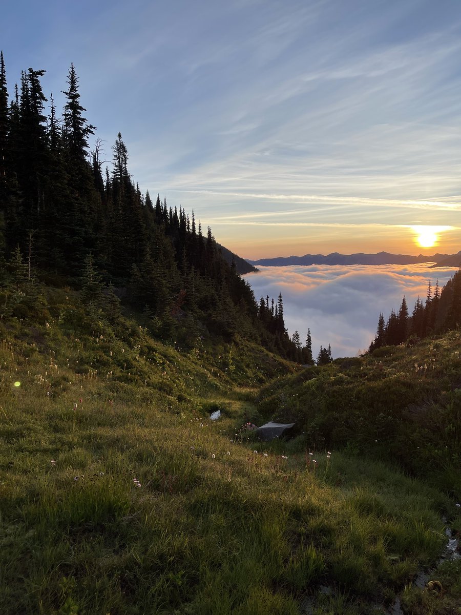 Shaq 🌪️ tweet media