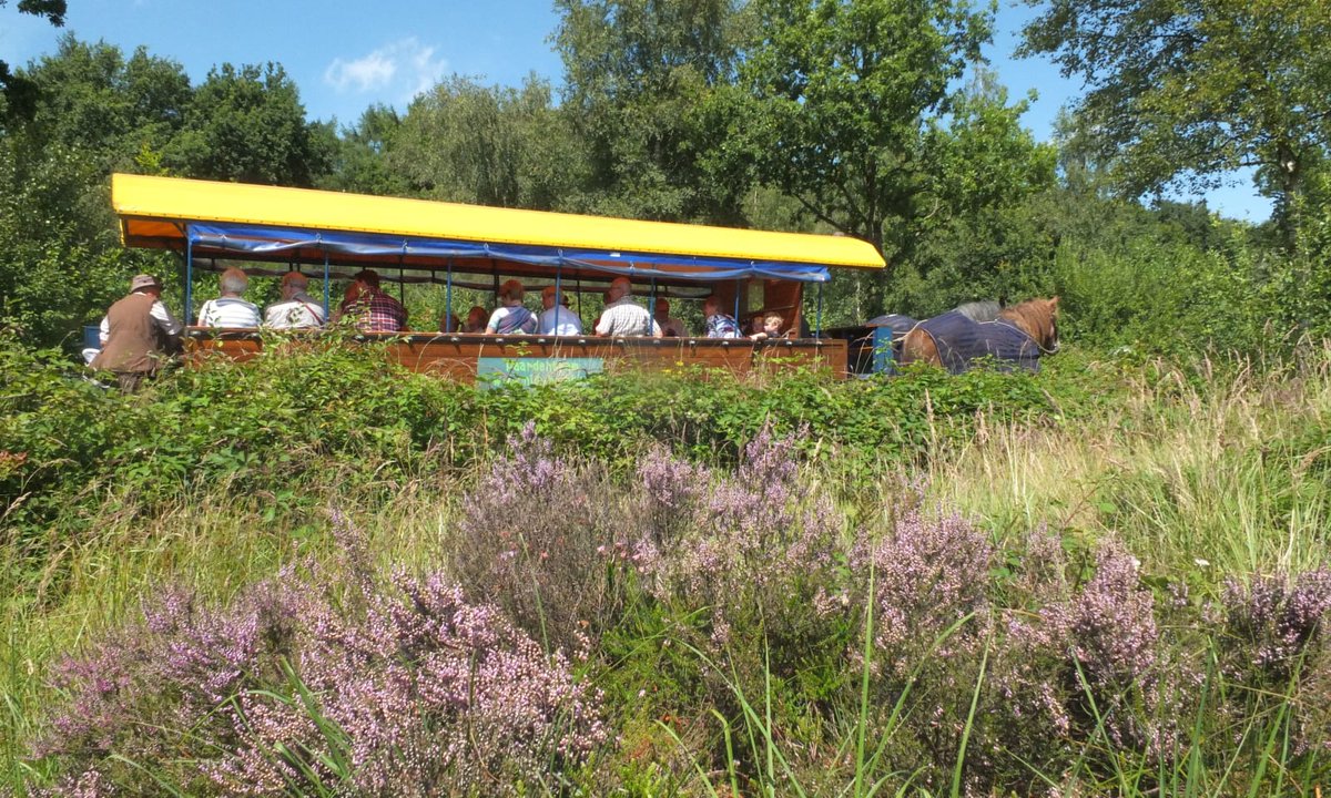 Morgenvroeg mee met de huifkar over de (bloeiende) hei? Het kan. Nog enkele plekken vrij.
natuurmonumenten.nl/bezoekerscentr…