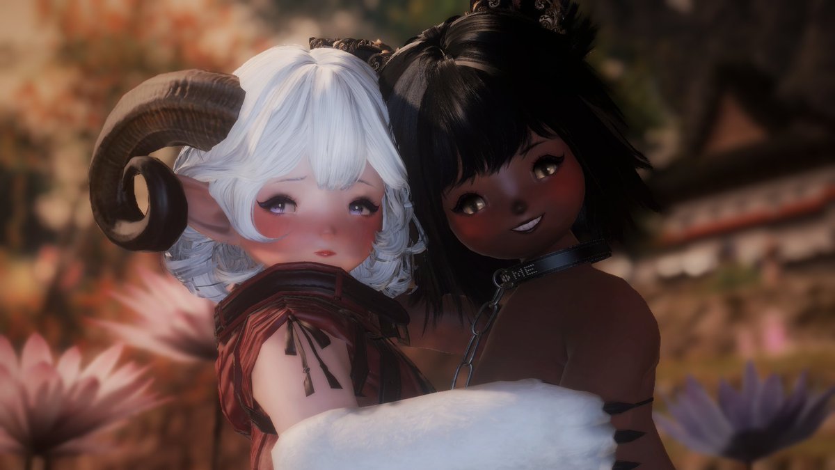 AngoraSonata's tweet photo. Here she is~ 
Let me introduce Chipie, The new lalanimal that will join the crew 💗
--------------------------------------------------------
H-hello.. I am Chipie... I have met Ango re-recently
And.. I-I...
*Hide beind her paws*
N-Nice to meet you all...! https://t.co/6SJ4jjEyjm
