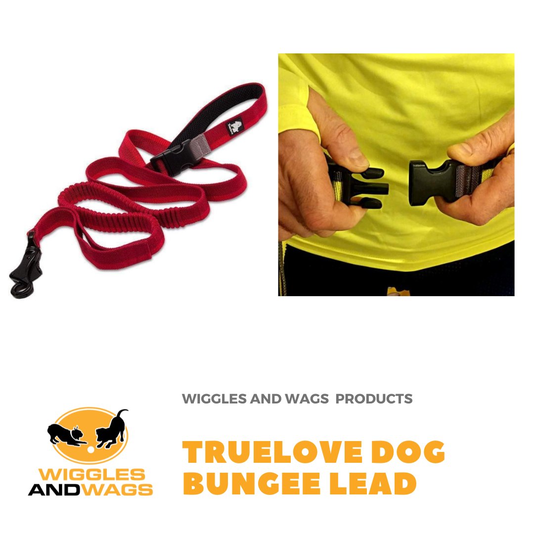 wiggleswagsUK's tweet image. Wiggles and Wags Products - Truelove dog bungee lead. Top quality running lead for dogs. wigglesandwags.co.uk/products/hands… #dogrunning #canicross #runningwithdogs #truelove