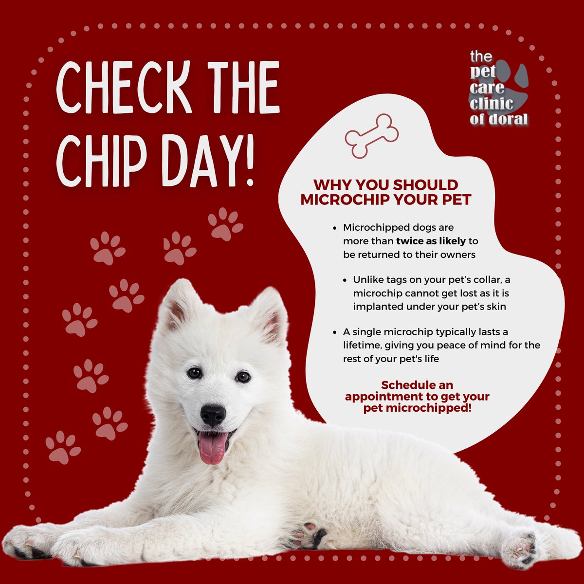 Show your pet some love today by getting them microchipped for #NationalChecktheChipDay! Microchipping is a safe and permanent way to identify your pet in case they ever get lost - don't forget to keep your contact info updated. 🐾 #PetMicrochipping