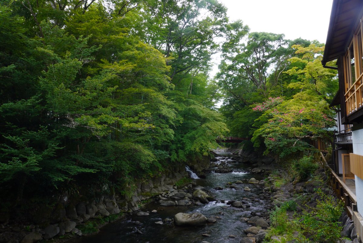 camera_banper's tweet photo. 修善寺 https://t.co/XGuEsBh0cz