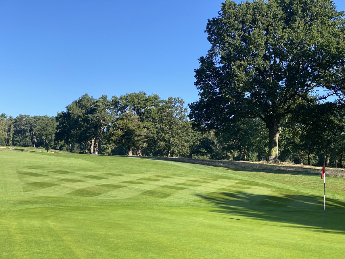 @StonehamGC in the sunshine today. The team get a full cut on the course following yesterdays weather and what a job they do 💪🏻I love days like this ☀️#TeamStoneham