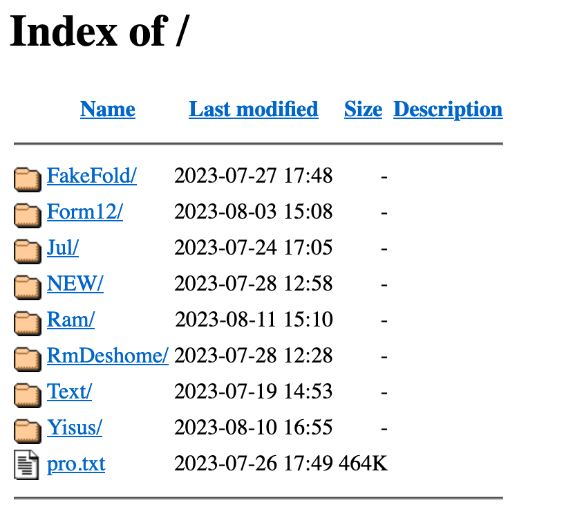 jstrosch's tweet image. some #opendir (reverse) #base64 fun :) 

hxxp://52.152.223[.]228/