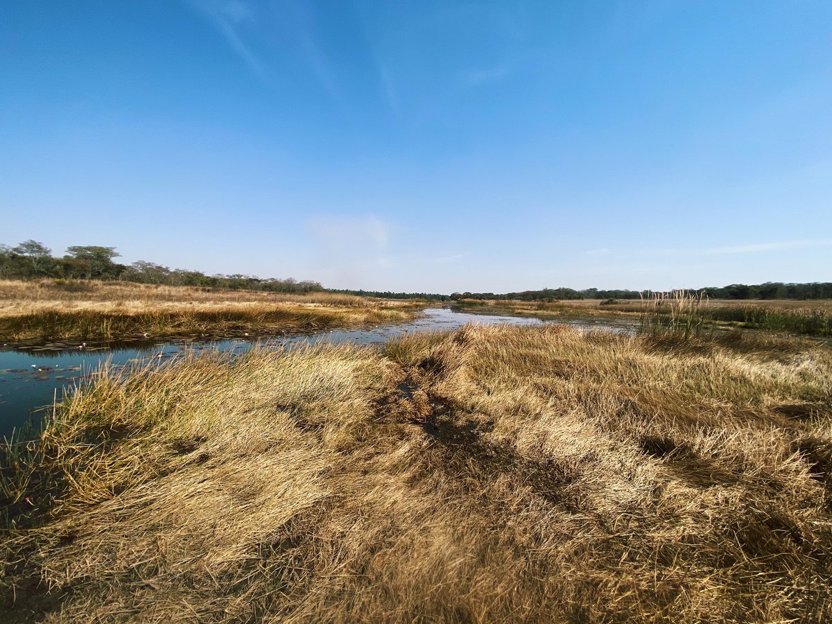 Kate Chambers tweet media