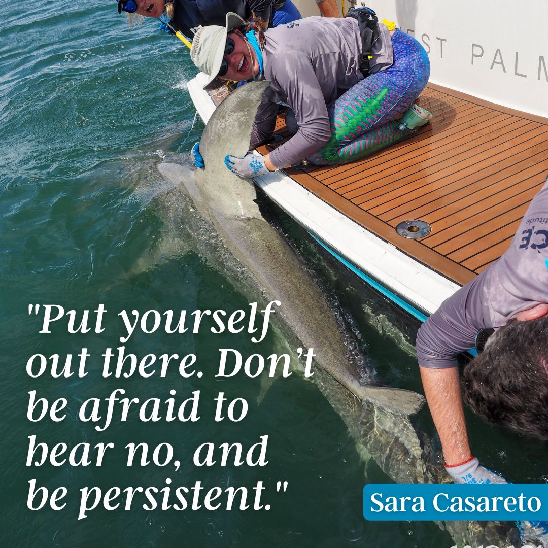 ANGARIocean's tweet photo. Meet @SaraCasareto - a #MarineScientist, #BehavioralEcologist & PhD candidate @FIUCASE researching juvenile #shark behavior. She's also the 23-24 Lead Scientist for our #CoastalOceanExplorers: Sharks education program. Welcome!
Learn abt her & her work https://t.co/XkywZEIOjx https://t.co/2uXIArD95N