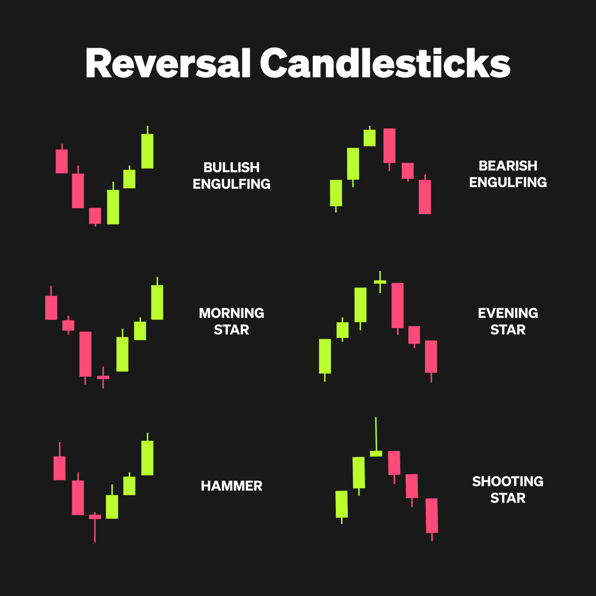 The Reversal of Your Common Sense 特別ディスク The Reversal of Your Common Sense 特別ディスク
