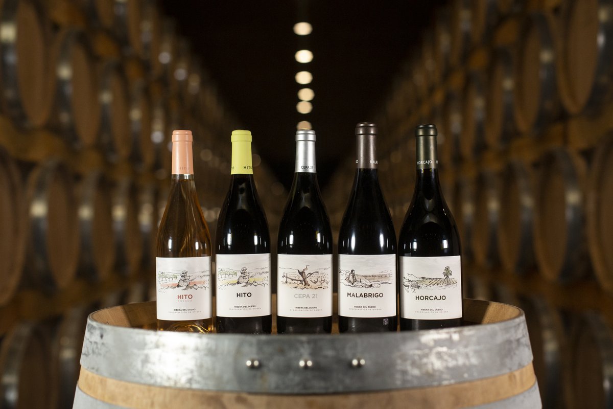 José Moro tweet media