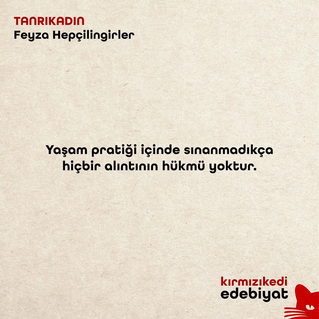 Feyza Hepçilingirler’in kaleminden gerek dil gerek biçim yönüyle usta işi bir roman Tanrıkadın. Ülkenin bir dönemine ve o dönemin bireyleri için açılmış özel bir parantez.

🔎kirmizikediyayinevi.com
#kırmızıkediedebiyat #nekedisiznekitapsız