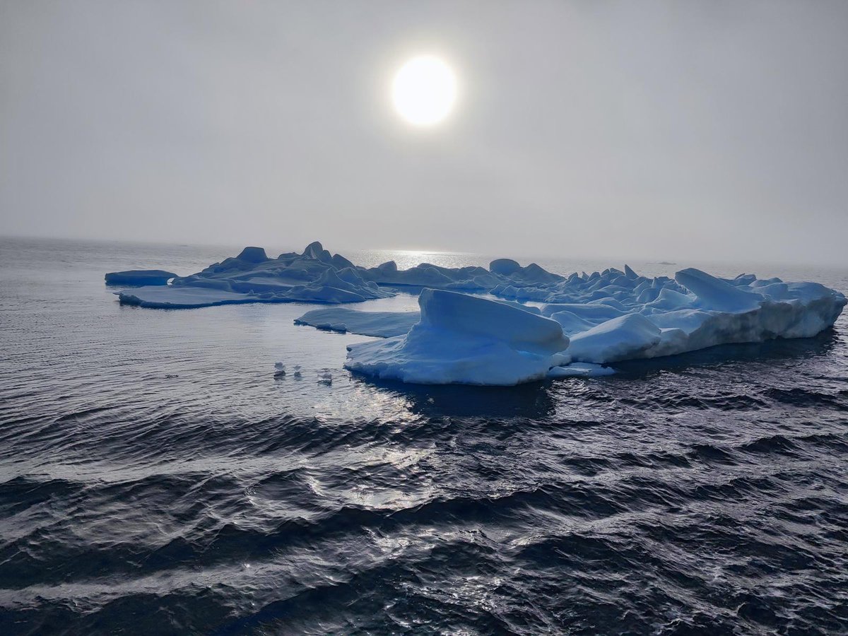 3. Ulusal Arktik Bilimsel Araştırma Seferi, önemli araştırmalara imza attı! ❄️

🔬 Arktik Seferini gerçekleştiren bilim heyetinin çalışmaları 1 ay sürdü.

🔎 28 istasyon noktasında örneklemeler ve ölçümler yapıldı.

👩🏻‍🔬 14 farklı proje için bilimsel araştırmalar gerçekleştirildi.