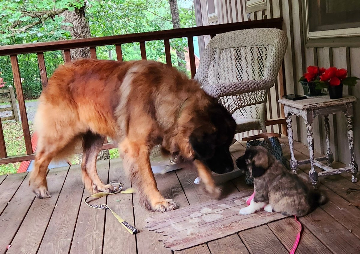 David Chernicoff tweet media